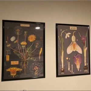 Vintage Artwork in Frames